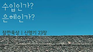 [잠깐묵상] 신명기 23장 | 수입인가? 은혜인가? | 성경통독 | QT