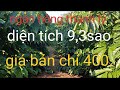 Ngân hàng thanh lý 400tr chủ nhà thu cà phê và mì  lh0989542322