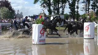 EXELL Boyd, AUS, DVI Valkenswaard, HORSE FOUR IN HAND; Marathon, obstacle 7,  11 06 2022