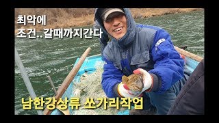 남한강 자연산쏘가리..자연산 대물쏘가리. 민물대물붕어. 어름치. 꺽지 .대물누치. 산천어.