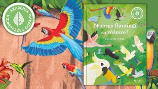 DLACZEGO FLAMINGI SĄ RÓŻOWE? Wiem wszystko o ptakach. Akademia Małego Przyrodnika Jedność dla dzieci