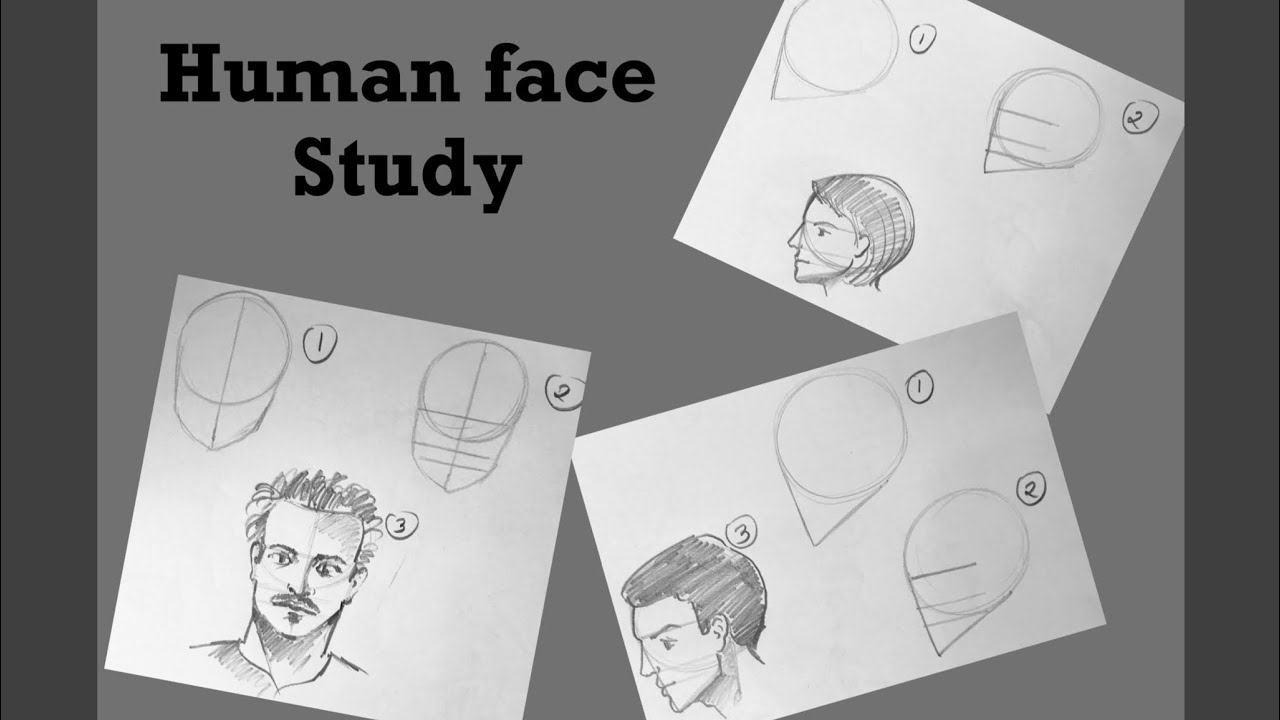 Human Face Study Youtube