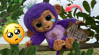 Baby Monkey adoption story 😱