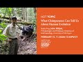 HOT (Human Origins Today) Topic: What Chimpanzees Can Tell Us About Human Evolution