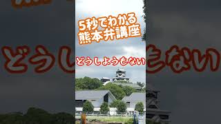 ワイくんの熊本弁講座　どうしようもない　熊本