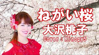 【新曲】#ねがい桜　#大沢桃子作詞作曲： #Cover：#Kinopy5