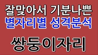 잘맞아서 기분나쁜 별자리별 성격분석｜쌍둥이자리 편♥