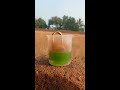 most dangerous experiment 🧪 nitric acid video viral thehackerpro shorts science