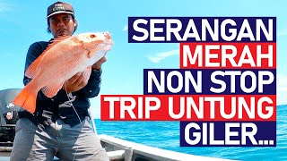 Serangan Merah Nonstop | Trip Untung Giler | Strike Ikan Merah Saiz 2kg