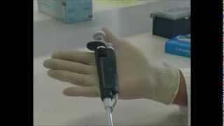 Using a Gilson pipette