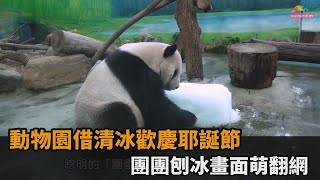 動物園借清冰歡慶耶誕節　團團刨冰畫面萌翻網－民視新聞