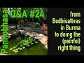 Question and Answer #24: from Bodhisattvas in Burma to Doing the (Painful) Right Thing