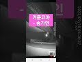 거문고야 송가인 it s geomungo song ga in korea s best singer 3