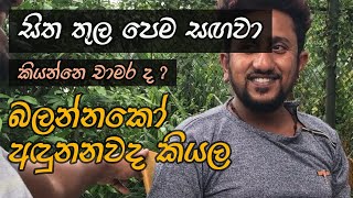 සිත තුල පෙම සඟවා ♪♫♪ | සිඟිති නිරෝෂන් | Sitha thula pema sangawa ♪♫♪ | Singithi Niroshan