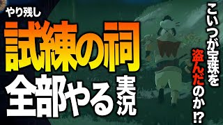 全祠120個を己の足で探し尽くす Part 12【ゼルダの伝説 ブレスオブザワイルド #13】【やり残しゲーム実況 】