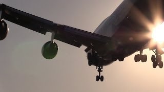 タッチ＆ゴー!!! B747ジャンボジェット 熊本空港 さよならフライトチャーター ANA2051