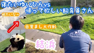 [Bamboo this day? Special Edition] Yuihin Part 2 　Cute Panda Wakayama Adventure World