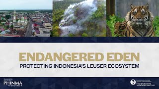 POV Asia | Endangered Eden: Protecting Indonesia's Leuser Ecosystem