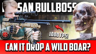 Hatsan BullBoss .25 Cal PCP Limited Edition REVIEW: Hunting Beast TESTED on a Ballistic HUMAN HEAD