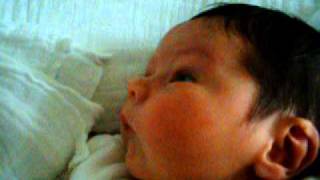 cute newborn baby on the first day of his life - neugeborenes baby