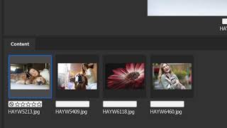 Add keywords and titles for your Adobe Stock image submissions using Adobe Bridge.