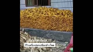 เครื่องปอกเปลือกข้าวโพด เพจ:Taboon farm