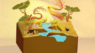 4 Types of Erosion Explained | GCSE Geography Revision (Easy to Remember)