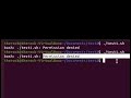 bash  {file} Permission denied SOLVED!