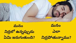 మనం నిద్రలో ఉన్నప్పుడు ఏమి జరుగుతుంది? మనం  ఎలా నిద్రపోతున్నాము? #amdi #Darkinfo