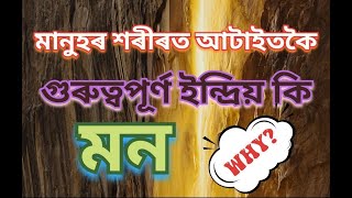 মানুহৰ শৰীৰত আটাইতকৈ গুৰুত্বপূৰ্ণ ইন্দ্ৰিয় কি ? মন, WHY?? #mind #indriya #health #life #dr #mon