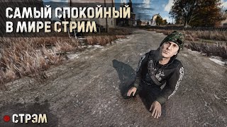 DayZ 1.26 | PERVAK | СМОТРИМ КОНТЕНТ | САМЫЙ СПОКОЙНЫЙ СТРИМ