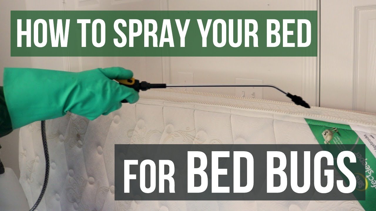 How To Spray Your Bed For Bed Bugs - YouTube