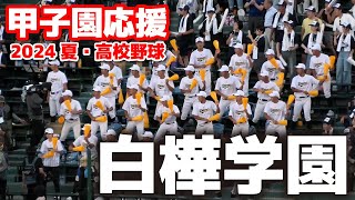 【高校野球　甲子園応援】白樺学園　応援メドレー　　甲子園　　2024.8.11　阪神甲子園球場　ブラバン応援　野球応援