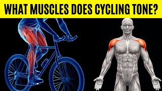 What Muscles Does Cycling Tone? 8 Muscle Groups Targeted by Cycling