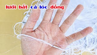 Bán lưới bắt cá lóc đồng, lưới đặt loại tốt, giao toàn quốc