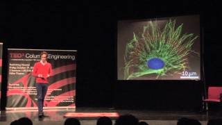 Complexity and intuition: Emmanuel Dumont at TEDxColumbiaEngineering