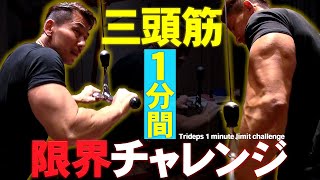 【速攻パンプ!!】日本王者！三頭筋トレーニング(#102)