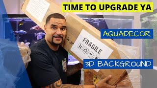 3D Aquarium Background Installation - (210G Tank w/ Fish)