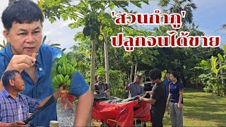 ปลูกจนได้ขาย ครั้งแรกของสวนกำภู #บ้านสวนกำภูEp1172