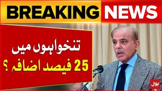 SIndh Govt Want 25 Percent Hike in Govt Employees Salaries | Budget 2024 | Breaking News