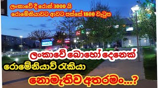 දිනපතා වැඩි වෙන රොමේනියා රැකියා ගැටලු|