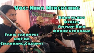 Buah Ngora Medley Live in cikandang cileunyi Voc Nina Mincreung Bersama Edinz percusion