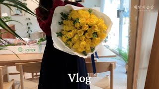 VLOG 50송이 프로포즈 꽃다발 만들기, 컨디셔닝 함께해요. 꽃집 브이로그 일상🌷