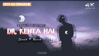 Dil Kehta Hai [ Slowed+Reverb ] | Feel The Music | Lofi| Lofi song | 90s song |