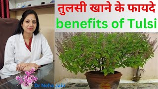 तुलसी खाने के फायदे|benefits of  Tulsi |तुलसी क्यों खाना चाहिए|तुलसी लेने का सही तरीका