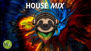 Upbeat Study Music House Mix for Deep Focus (Sloth) - Isochronic Tones