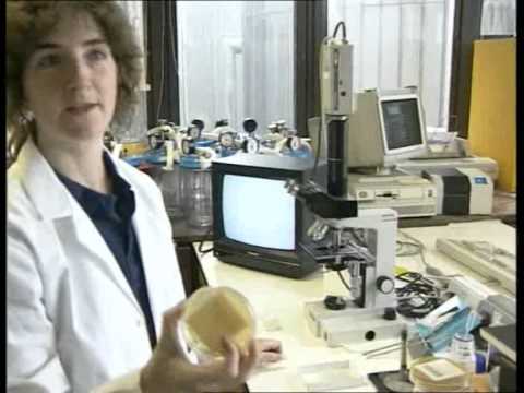 Aseptic Techniques Youtube