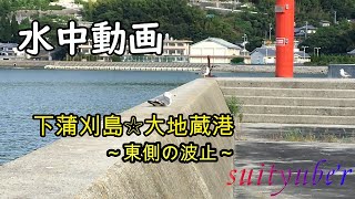 釣り人目線の水中動画　下蒲刈島大地蔵港東の波止