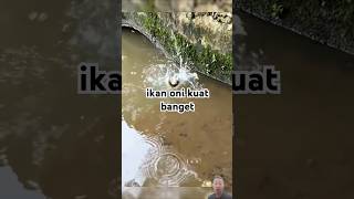 akhirnya ke angkat juga#fishing #fyp#viralvideo