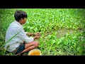 Best Fishing Video ||  Catching Koi Fish Hunting By Hook ~ Village Fishing in Beautiful Natural